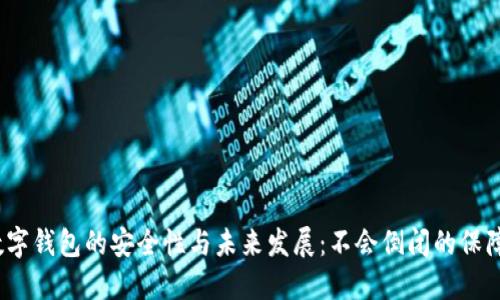 数字钱包的安全性与未来发展：不会倒闭的保障？