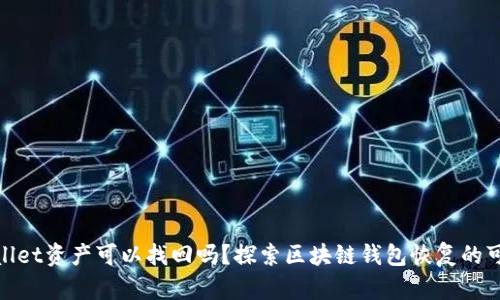 tpwallet资产可以找回吗？探索区块链钱包恢复的可能性