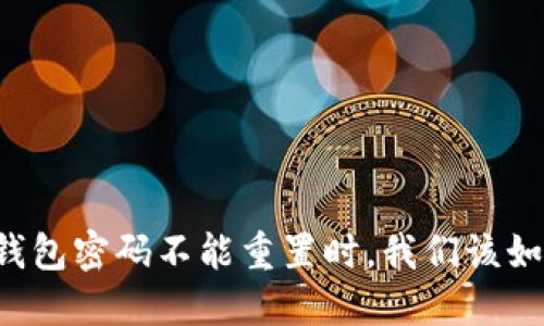 当数字钱包密码不能重置时，我们该如何应对？