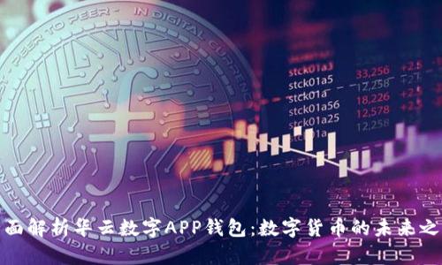 全面解析华云数字APP钱包：数字货币的未来之路