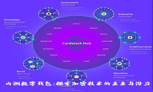 内测数字钱包：探索加密技术的未来与潜力