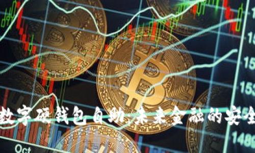 深圳数字硬钱包自助：未来金融的安全之路