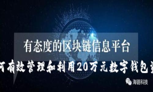 如何有效管理和利用20万元数字钱包资产