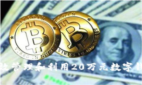 如何有效管理和利用20万元数字钱包资产
