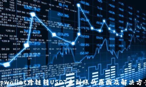 
tpwallet跨链转USDT未到账的原因及解决方案