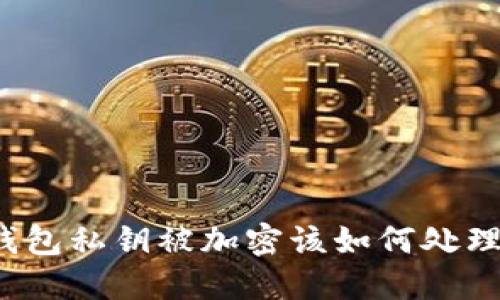 钱包私钥被加密该如何处理？