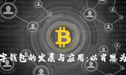 数字钱包的发展与应用：以肖恩为例