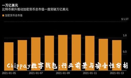  Chippay数字钱包：行业前景与安全性分析
