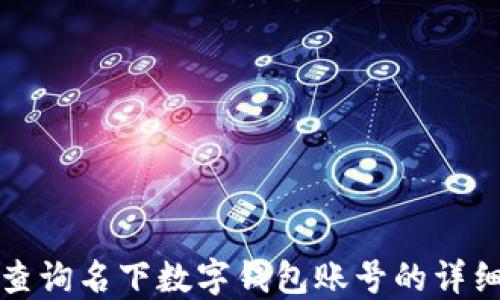 
如何查询名下数字钱包账号的详细指南