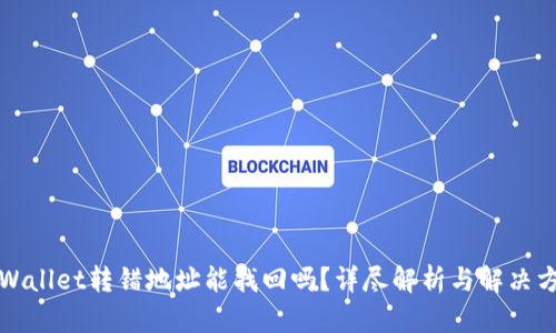 TPWallet转错地址能找回吗？详尽解析与解决方案