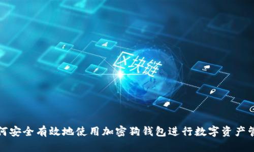 如何安全有效地使用加密狗钱包进行数字资产管理