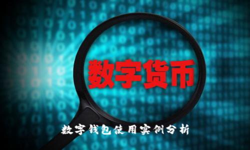 数字钱包使用实例分析