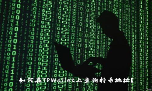 如何在TPWallet上查询持币地址？