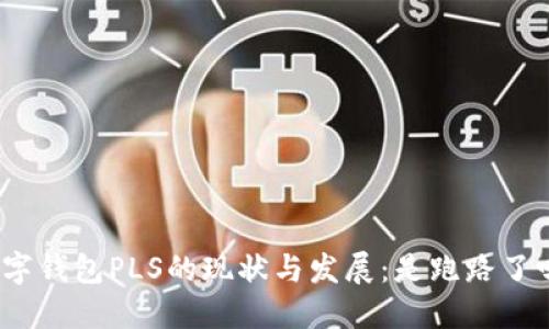 数字钱包PLS的现状与发展：是跑路了吗？