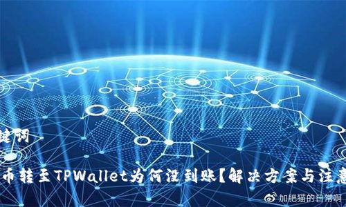 和关键词

SHIB币转至TPWallet为何没到账？解决方案与注意事项