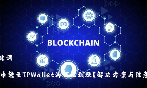 和关键词

SHIB币转至TPWallet为何没到账？解决方案与注意事项