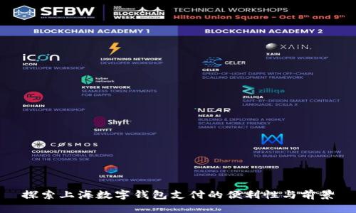 探索上海数字钱包支付的便利性与前景
