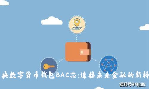 中央数字货币钱包BAC芯：连接未来金融的新桥梁