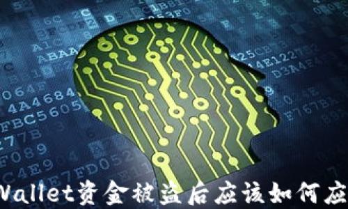 
TPWallet资金被盗后应该如何应对？