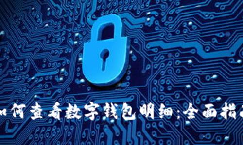 如何查看数字钱包明细：全面指南