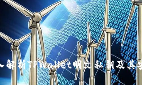 : 深入解析TPWallet明文私钥及其安全性
