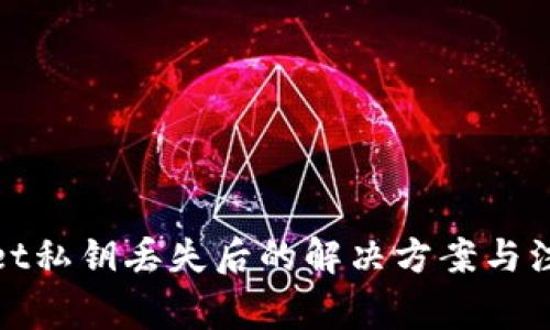 tpwallet私钥丢失后的解决方案与注意事项