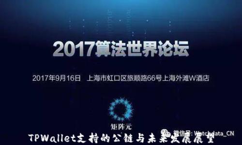 
TPWallet支持的公链与未来发展展望