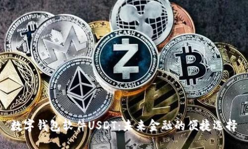 数字钱包软件USDT：未来金融的便捷选择