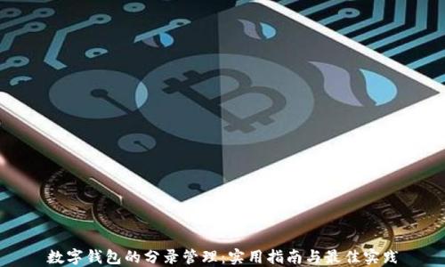 
数字钱包的分录管理：实用指南与最佳实践