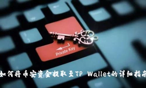 如何将币安资金提取至TP Wallet的详细指南