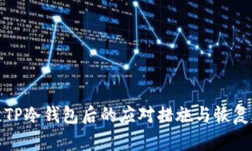 丢失TP冷钱包后的应对措施与恢复建议