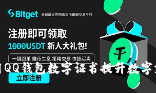 如何使用QQ钱包数字证书提升数字支付安全