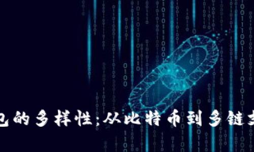 探索区块链钱包的多样性：从比特币到多链支持的前沿技术