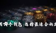 开发区块链用哪个钱包：选择最适合的加密货币
