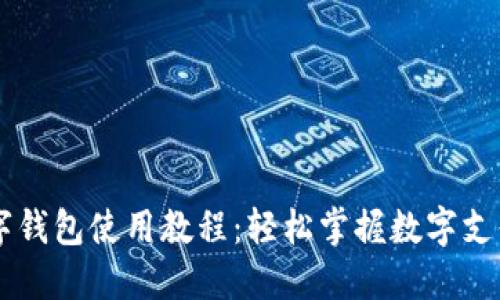 印尼数字钱包使用教程：轻松掌握数字支付的未来