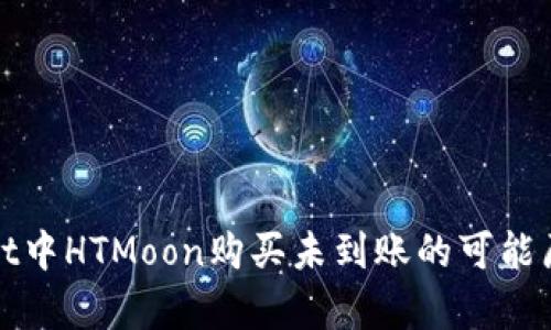 : 解析TPWallet中HTMoon购买未到账的可能原因及解决方案