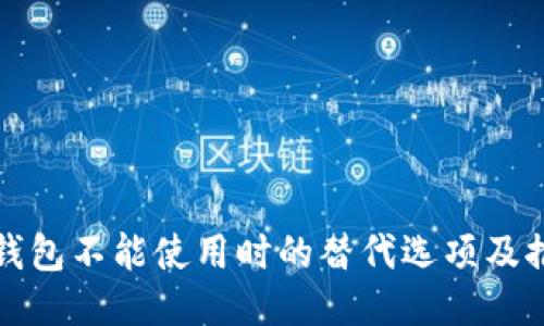 TP钱包不能使用时的替代选项及推荐