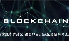 轻松实现资产增值：探索TPWallet波场链的闪兑魅力