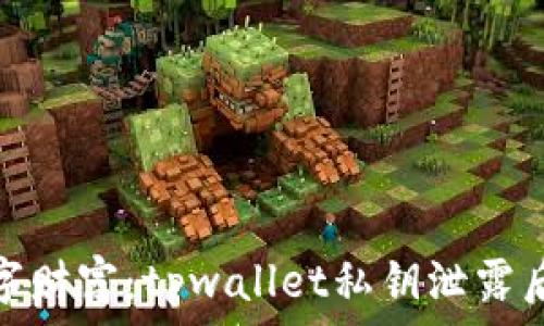   
保护你的数字财富：tpwallet私钥泄露后的应对策略