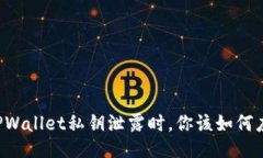 当TPWallet私钥泄露时，你该如何应对？