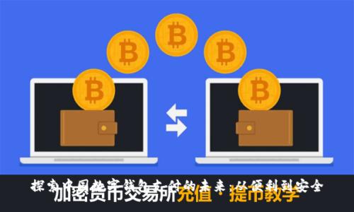 探索中国数字钱包支付的未来：从便利到安全
