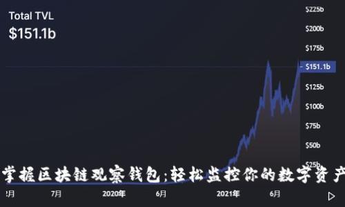 掌握区块链观察钱包：轻松监控你的数字资产