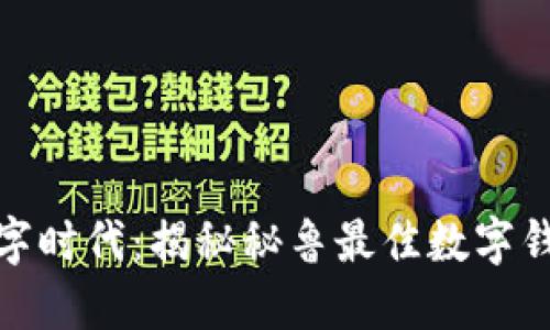 捕捉数字时代：揭秘秘鲁最佳数字钱包选择