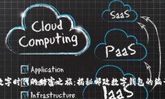 开启数字时代的财富之旅：揭秘邮政数字钱包的