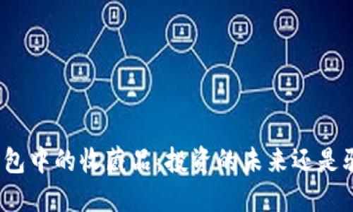 揭秘数字钱包中的收藏品：投资的未来还是骗局的黑洞？