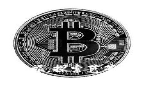 开启你的数字财富之旅，探索芭蕾数字钱包的无穷可能