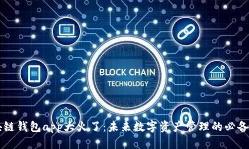 区块链钱包app大火了：未来数字资产管理的必备利器