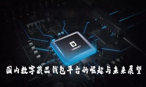 国内数字藏品钱包平台的崛起与未来展望