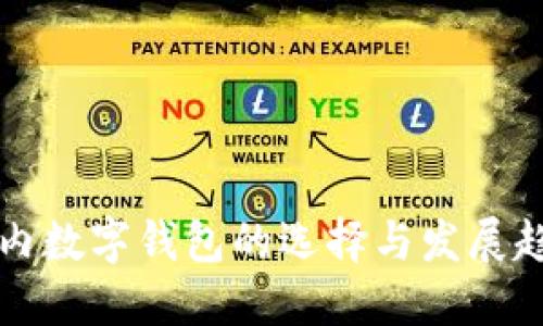 国内数字钱包的选择与发展趋势