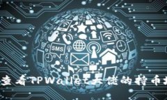 如何查看TPWallet大佬的持币地址?